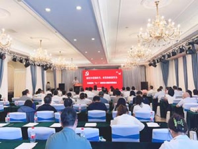 創(chuàng)先爭(zhēng)優(yōu)強(qiáng)擔(dān)當(dāng)，攻堅(jiān)突破顯作為——天津咨詢(xún)黨委召開(kāi)“七一”表彰暨主題教育推進(jìn)會(huì)